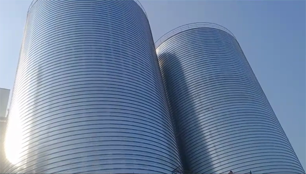 布尔津2座混凝土高架卷板仓